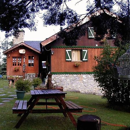 Niu Dels Falcons Bed & Breakfast La Molina  Dış mekan fotoğraf